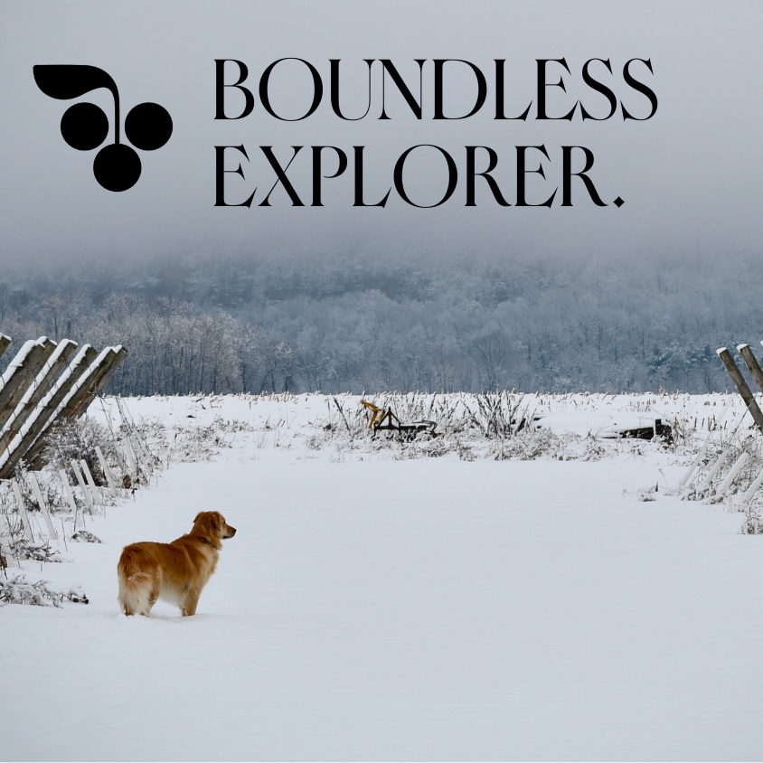 Boundless Explorer